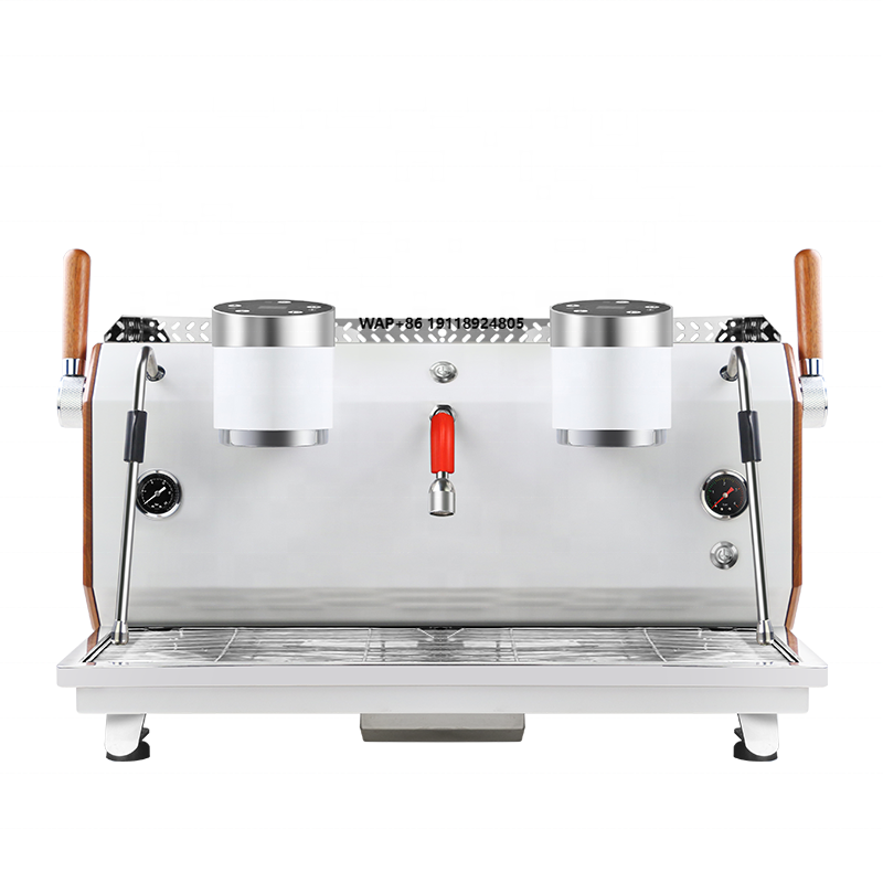 Máquina de Café Espresso Profe - Espresso Machine Semi Auto reseña y precio